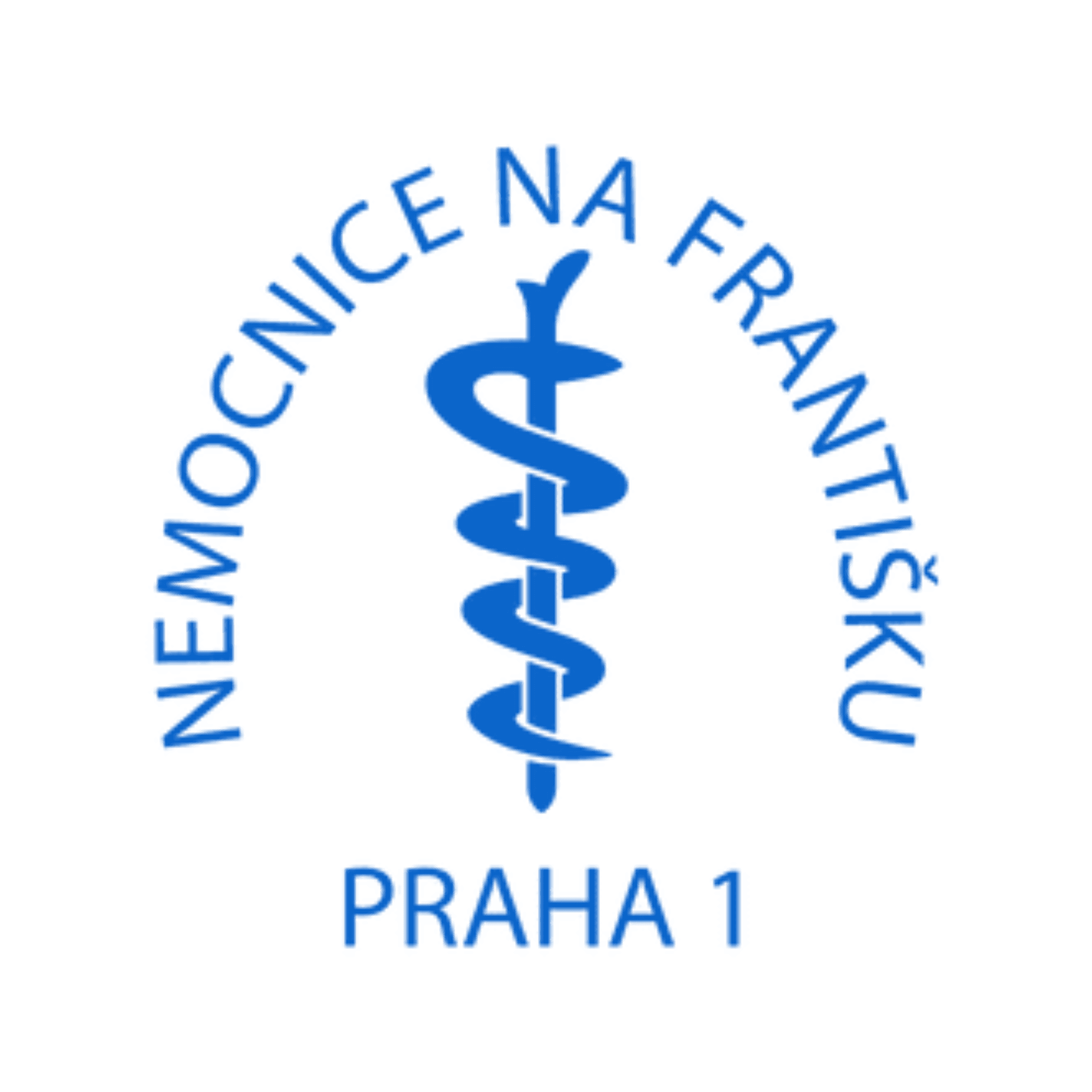 Hospital Na Františku
